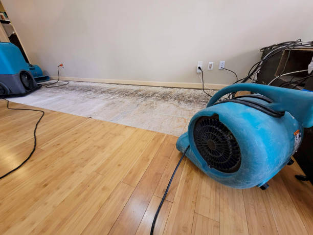 Professional Structural Drying technician working in Lakeview, OR